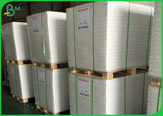 300GSM FSC Kunstdruckpapier-Spule SGS weiße glatte mit 100% natürlichem Massen-Material