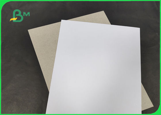 200 / 230gr C1S mit Breite 1250mm des Grau-Rückseiten-Grad-AA mit SGS u. FSC bestätigt