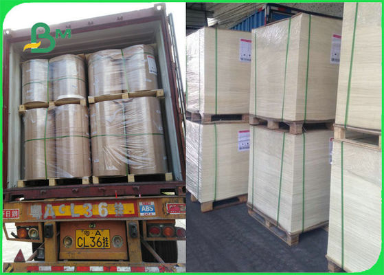 Zugelassenes Nahrungsmittelsicheres hitzebeständiges Backpapier FDAs FSC für den Grill, der BBQ kocht