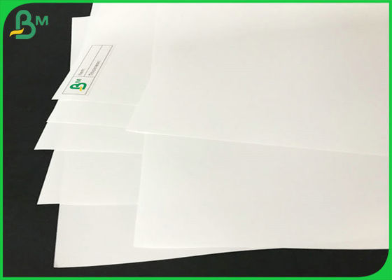 Hitzebeständiger Laser und Tintenstrahl, die synthetische Papierrolle 200um 250um pp. druckt