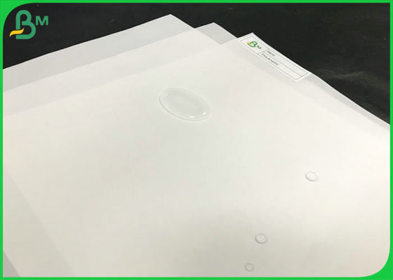 Hitzebeständiger Laser und Tintenstrahl, die synthetische Papierrolle 200um 250um pp. druckt