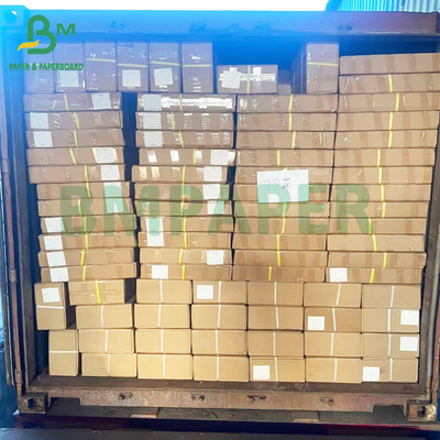 55gm POS-Papier 80mm * 80m Mini-Drucker Autoad thermische Papierrolle