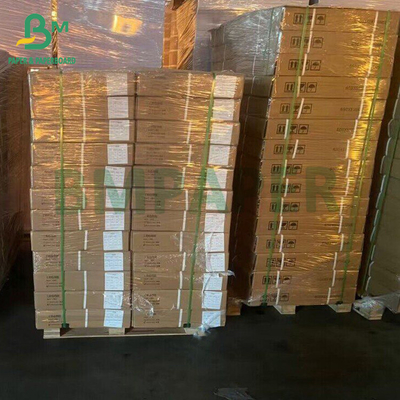 260g hochauflösendes 5r 4r glänzend beschichtetes RC CC Inkjet Fotopapier