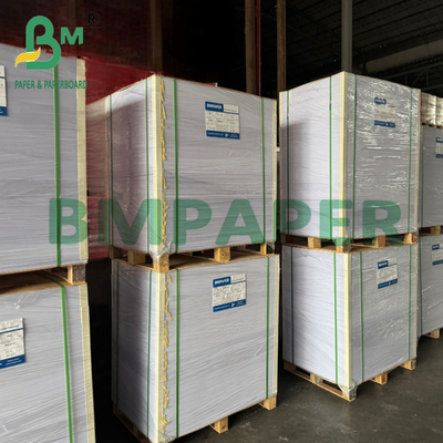 Großpackung 400g starker elfenbeinfarbener Karton Paja für Buchdeckel