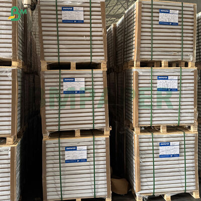 Fettdichtes Weißes Kaffee Gelb Grünes Cupcake Liner Muffin Papier zum Backen