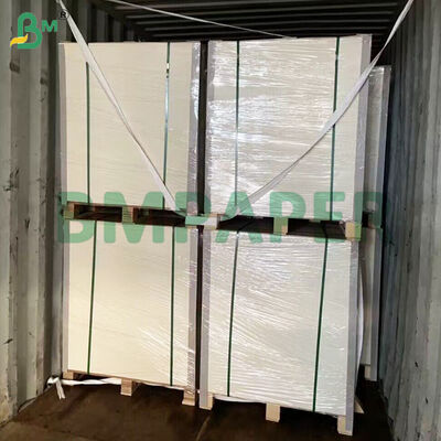 PET-beschichtete Speiseteller aus Papier, weiß, für Lebensmittel