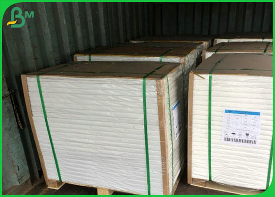 Fettdichtes und wasserdichtes 300g FBB mit einzelnem PET für die Herstellung der Brotdose