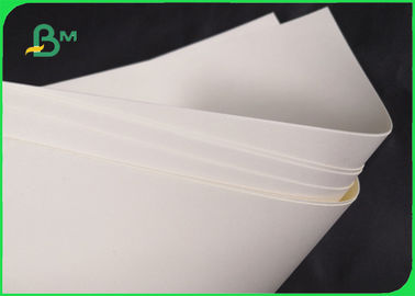 Biologisch abbaubares Rohpapier 190gsm 210gsm Cupstock für Nahrungsmittelschüssel 720MM 860MM