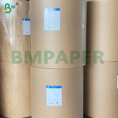 220+10 Gsm PE Coated Leak-proof Food Grade Cup Stock Paper Rolls
