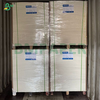 Weißtemperaturbeständiges einseitiges PE-beschichtetes Becherpapier