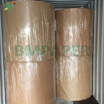 60gsm 70gsm Black Image Glossy Thermal Paper Jumbo Roll  


 