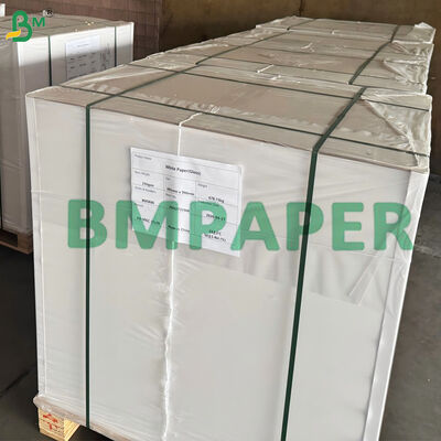 Hot Drink Cup Base Paper Leak Proof PE Coating For Coffee, Tea