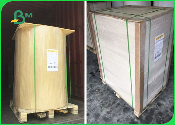 FSC bestätigte Kehrseite-Kraftpapier in den Blättern ein Seitenweiß 32 × 40"