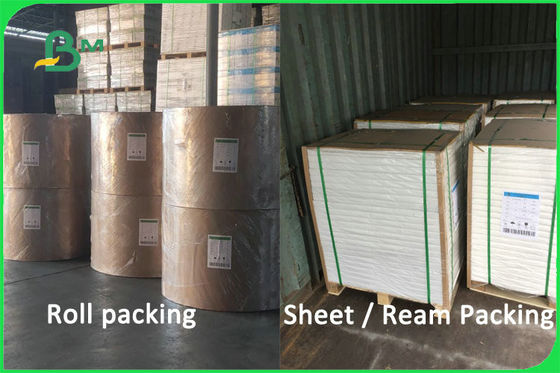 Jungfrau-Massen-biologisch abbaubares unbeschichtetes Papierschalen-Material 100% 170 - 300gsm FDA FSC