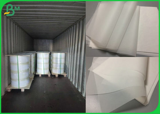 Gute Tintenabsorption Verfolgungs-Papierspule 50gr 55gr mit FSC-Bescheinigung stützte sich