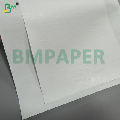 Medical Recording Paper Material 70gsm - 80gsm With Thermal Coating