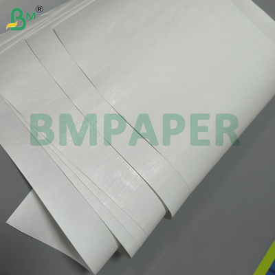 Medical Recording Paper Material 70gsm - 80gsm With Thermal Coating