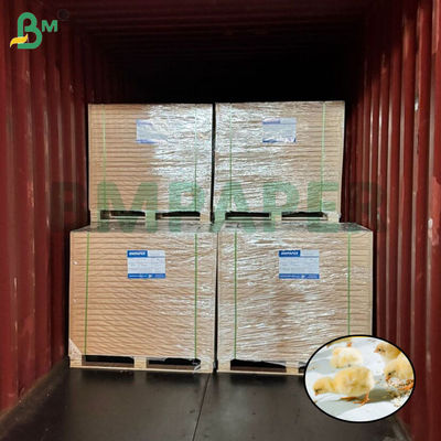 Weißes Kükenaufzuchtpapier Hühnerpapier für Geflügelhaltung 66cm 100cm