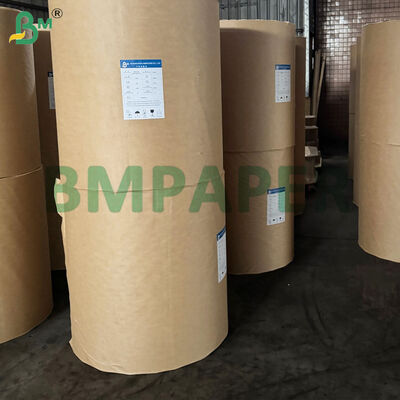 Nichtklebende Cupcake-Liner für das Backen Farbiges, fettdichtes Pergament-Muffin-Linerpapier