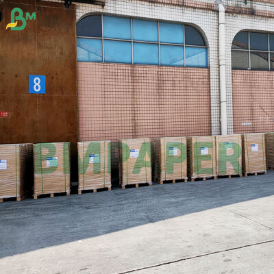 Nichtklebende Cupcake-Liner für das Backen Farbiges, fettdichtes Pergament-Muffin-Linerpapier