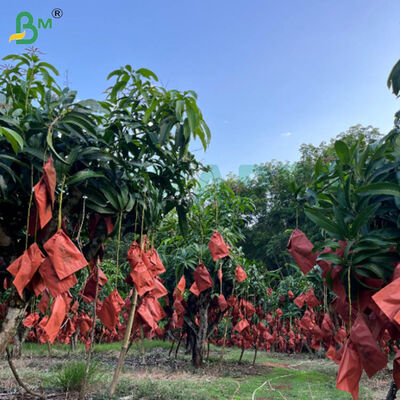 56 g Einseitiges Wachspapier Rot und Schwarz für Mango-Wachbeutel, wetterfestes Fruchtschutzpapier