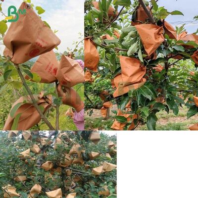 Rotes Außenpapier Früchte Verpackungspapier für die Verpackung von Äpfeln, 56 g nicht wachsförmiges Apfelbeutelpapier