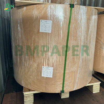 Fettdichtes Weißes Kaffee Gelb Grünes Cupcake Liner Muffin Papier zum Backen