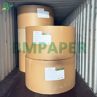 PET-beschichtete Speiseteller aus Papier, weiß, für Lebensmittel