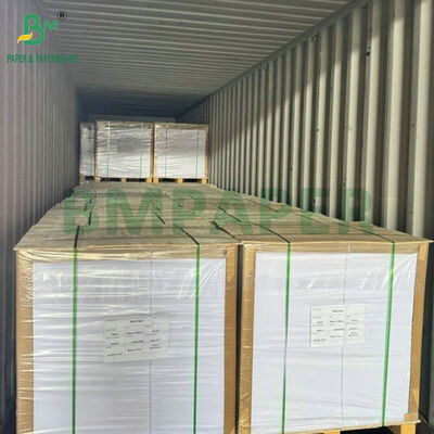 Kit 5 Lebensmittelqualität 40 gm fettfeste Papierrolle 840 mm zur Verpackung von Fastfood