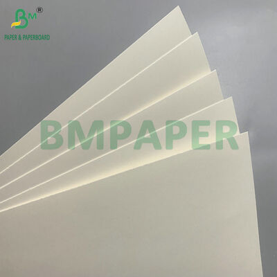 Biologisch abbaubares und Mikrowellensicheres Pappe zur Herstellung von Einwegschüsseln für Salate