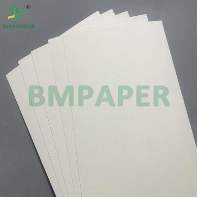 Biologisch abbaubares und Mikrowellensicheres Pappe zur Herstellung von Einwegschüsseln für Salate