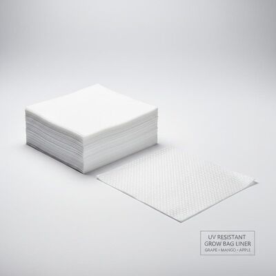 UV-beständiges Traubengras Mango Apfel wachsen Beutelpapier Innenschicht Liner