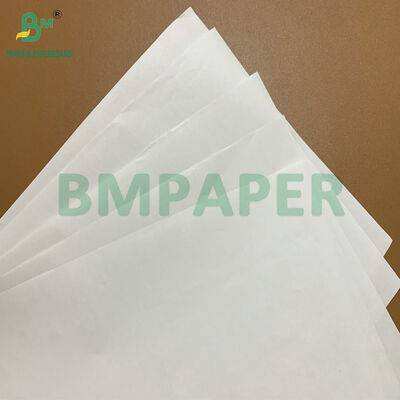 Hohe Haltbarkeit Premium BPA-freie Thermopapierrollen 48 g/m² 55 g/m²