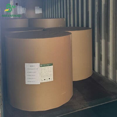 250 g/m² 300 g/m² 350 g/m² 400 g/m² CCNB Karton für Tiefkühlkostverpackungen