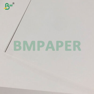 400 gm Weiß einseitig beschichtetes Blisterkarton für die Verpackung 635 x 940 mm