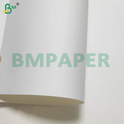 PET-beschichtete Lebensmittelpapierplatten/Schüsselpapierrollen Hitzebeständig