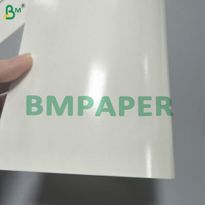 Lebensmittelsicheres Becherpapier PE-beschichtetes Papier für heiße und kalte Getränke