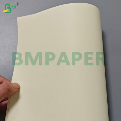 80 g Creme Farbbuch Papier Rollen 715 mm Breite zum Drucken