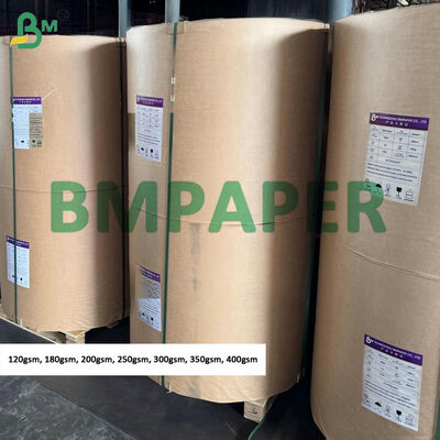 250gm 300gm Weißes Kraftpapier für Aufhängetags Jumbo Rollen, raue Oberfläche