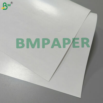 80gsm C1S Glossy Tea Bag Envelope Paper Flexo & Rotogravure Printable
