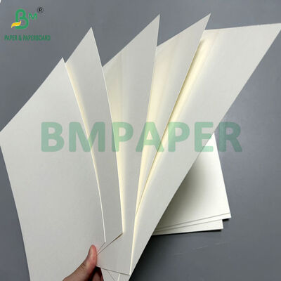 Foodgrade 230gsm + 1 PE Coated Cupstock Paper For Coffee Cup 66 x 96cm