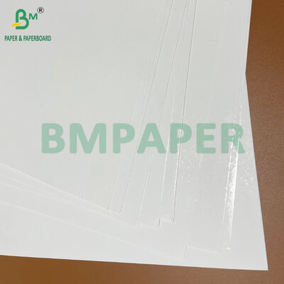 Single Side Gloss Blister Cardboard 350gsm for Toothbrush Clamshell Packing