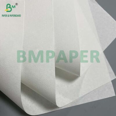 Good Wet Strength 50GSM 52GSM Food Contact Compliant Coffee Filter Paper
