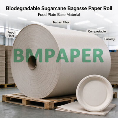 80g-300g biologisch abbaubares Bagasse-Zuckerrohrpapierrolle zur Herstellung von Lebensmittelplatten