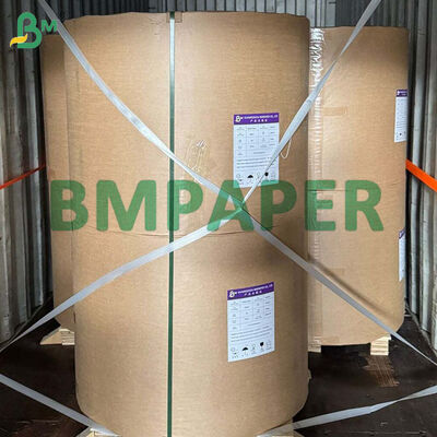 80g-300g biologisch abbaubares Bagasse-Zuckerrohrpapierrolle zur Herstellung von Lebensmittelplatten
