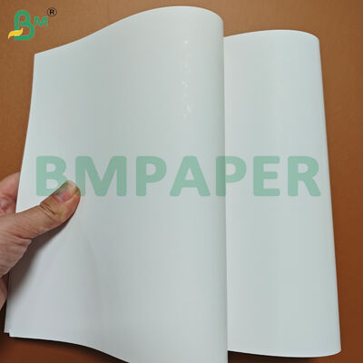 350gsm One Side Coated White Cardboard FBB Board for Packing