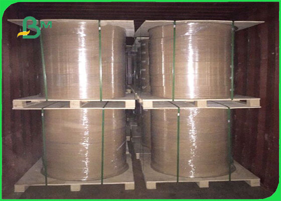 FSC Diplomöl und Wasser abweisendes PET gestrichenes Papier in den Blättern und in Rolls