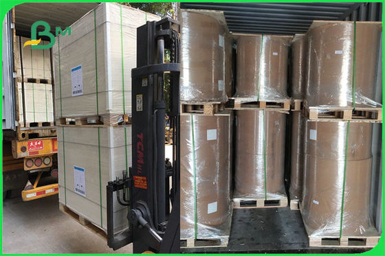 Elfenbein FSC FDA 300gsm eine Seite beschichtete weißes Brett PET GC1 Papier für Papierschüssel