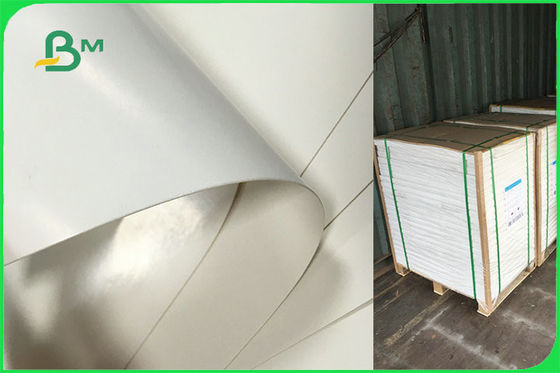 Kundengebundenes Simplex PET gestrichenes Papier für die Wegwerfplatten FSC FDA-gebilligt