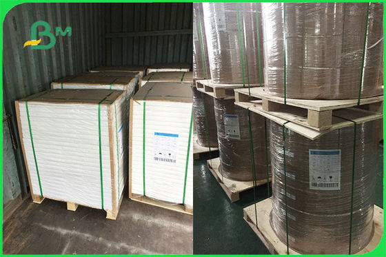 Kundengebundenes Simplex PET gestrichenes Papier für die Wegwerfplatten FSC FDA-gebilligt